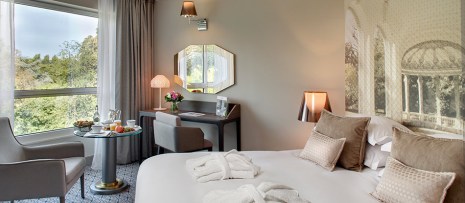 vichy-celestins-spa-hotel-reservation-chambre-deluxe2
